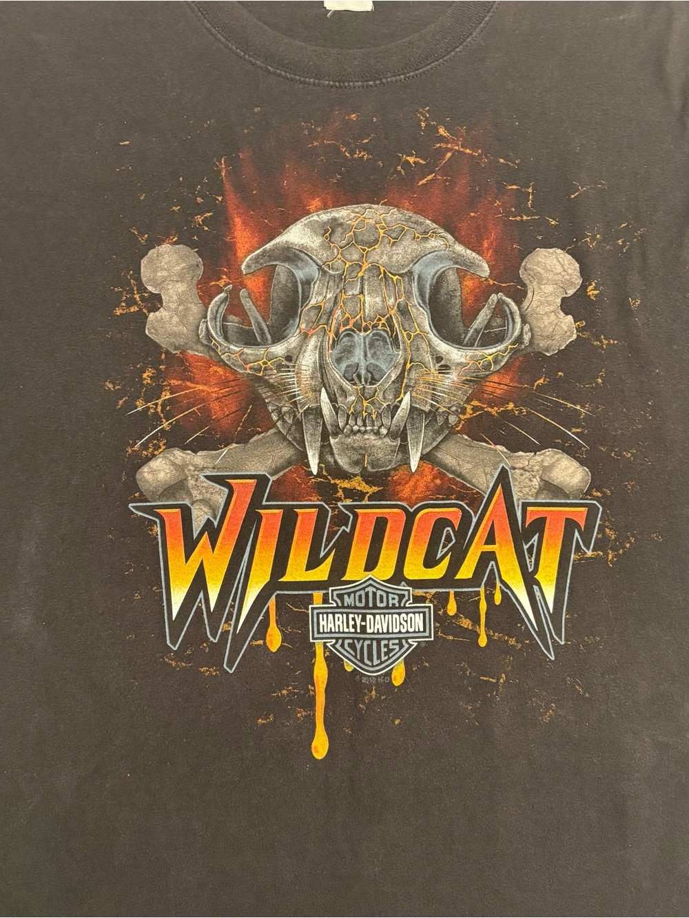 Wildcat Harley Davidson Graphic T-Shirt- 2012, London Ky - Picture 4 of 8